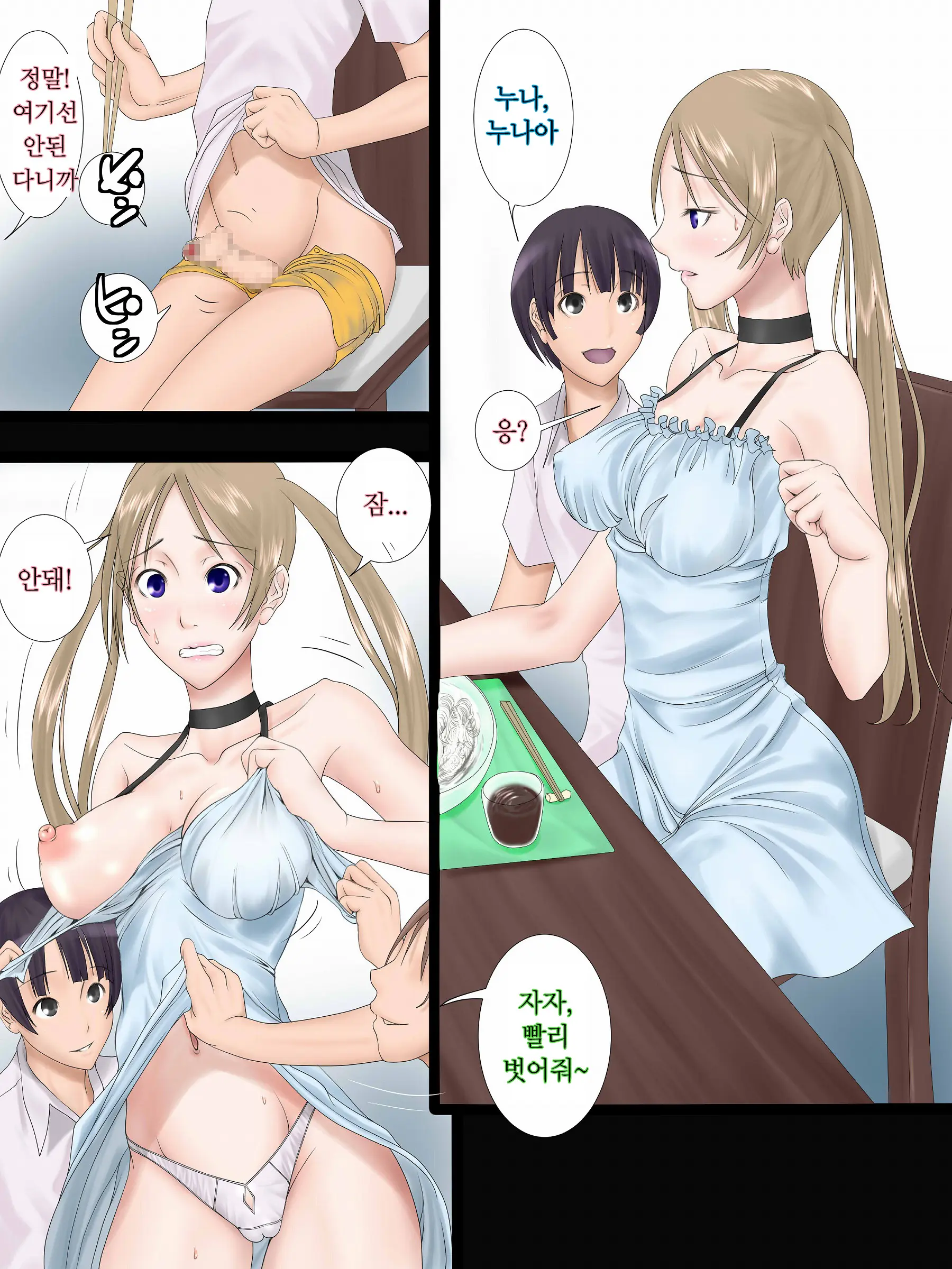 Midara Asobi ~Onee-Chan Ga Boku-Tachi No Nikugangu Ni Ochiru Made~ | 음란한놀이 ~ 누나가 우리의 노리개가 될 때까지 ~